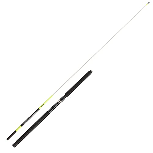 Daiwa Seal. X't. Itl 2.35m 30-50lb Meeresrute