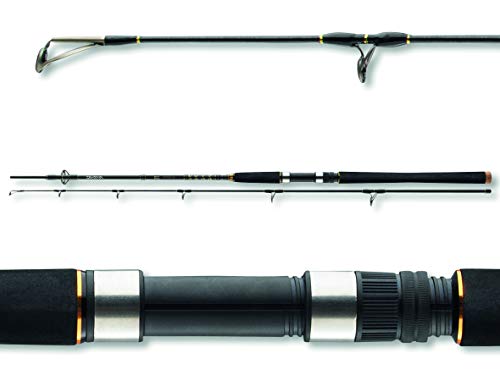 Daiwa BG Pilk 3,00m 50-165g Bootsrute Meeresrute