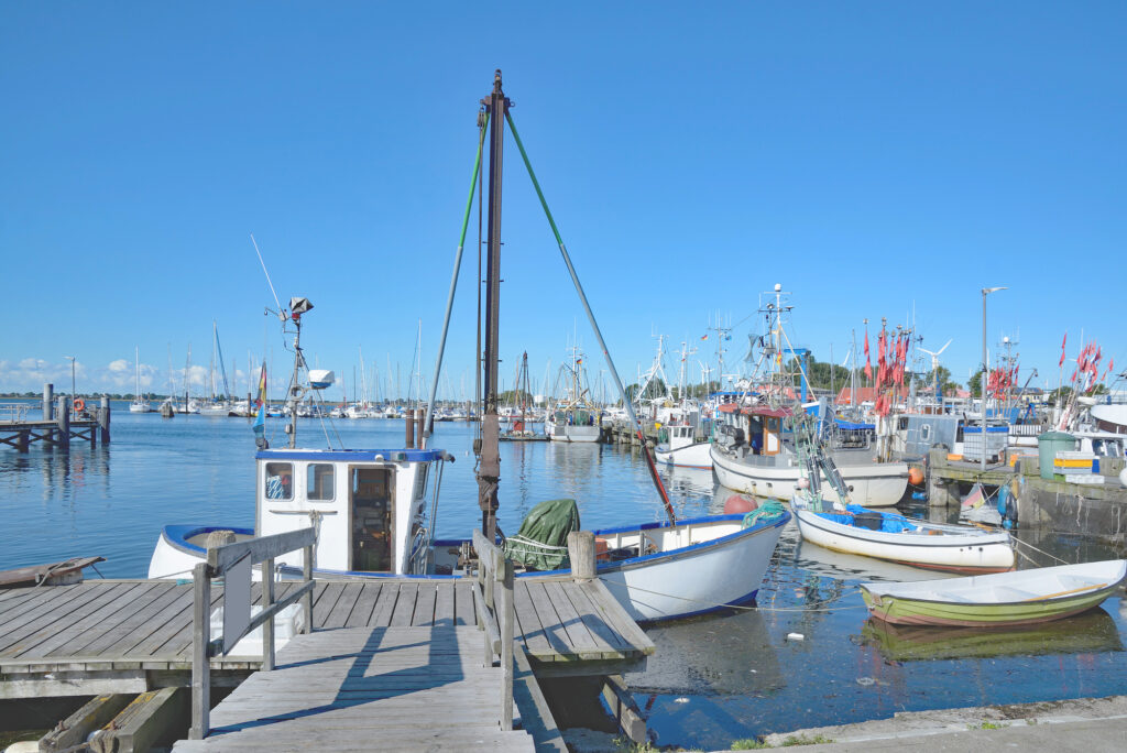 Angeln auf Fehmarn | BeyondFishing